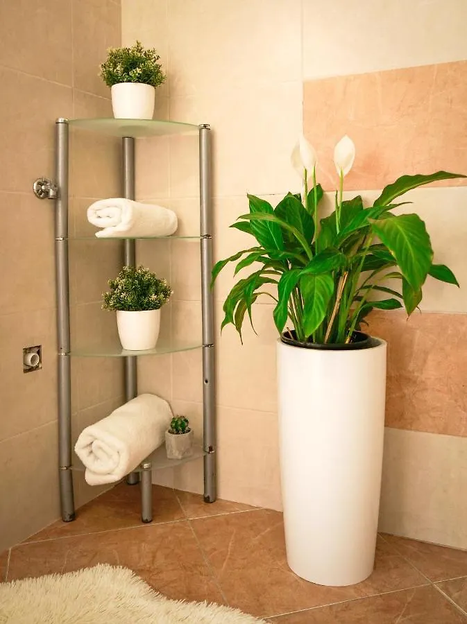 Charming Apartment In Novigrad, 45 Sqm, With Terrace Novigrad Istria
